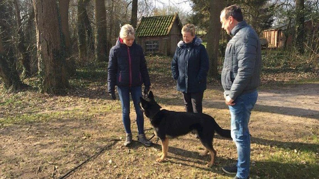 Zoeken naar de vermiste hond Biko met behulp van speurhond