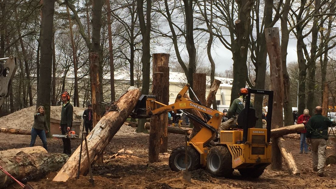 Een groep van dertig vrijwilligers is bezig in het bos bij Heumensoord om een grote natuurspeeltuin te maken voor de vluchtelingenkinderen van Heumensoord. Er komen speeltoestellen van boomstammen, zandspeelplaatsen en een crossbaan.