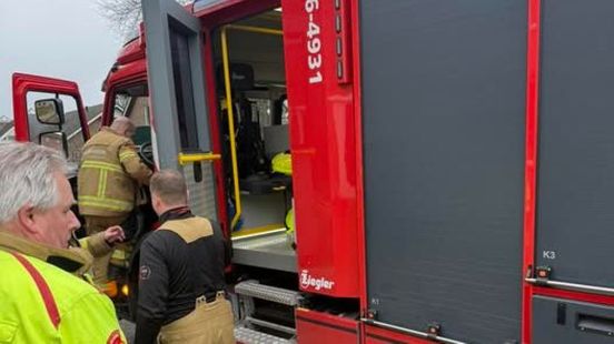 Hond vast met kop in kast