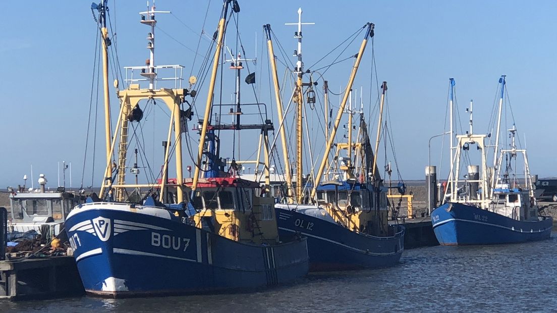 Garnalenkotters in de haven van Lauwersoog