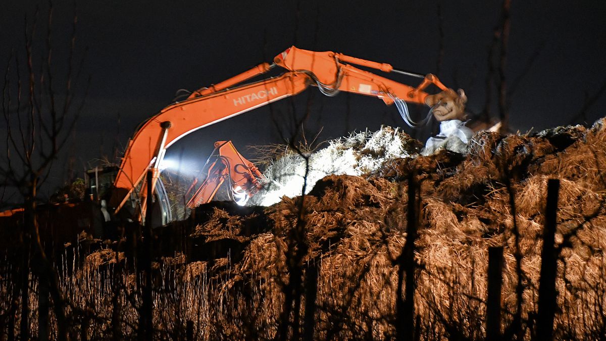 Brand in hoop maaisel bij Kloetinge