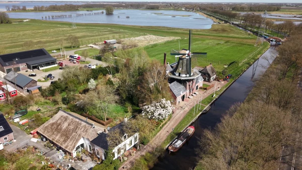 Molen De Wachter wordt heropend