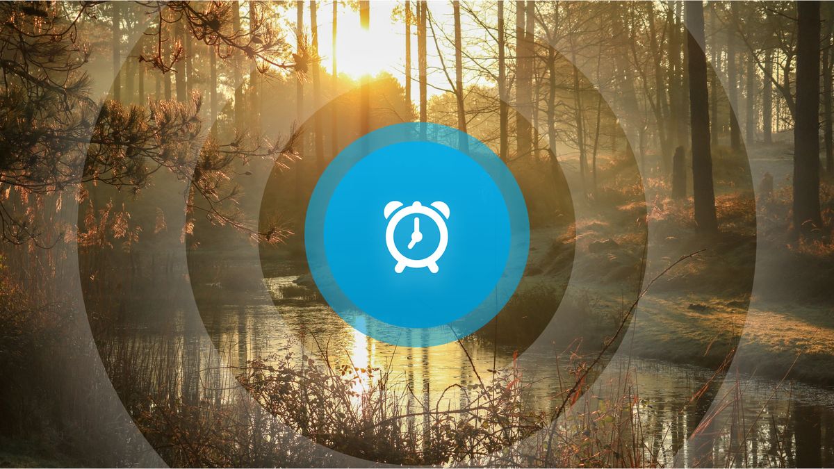 Goedemorgen! Mobieltjesverbod, kunstroute in Bossenburgh en rozen uitdelen in Borssele