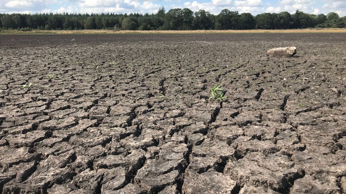 Het drooggevallen Elpermeer vorig jaar (Rechten: RTV Drenthe/Marcel Drent)