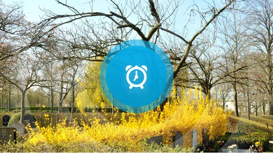 Goedemorgen! Koningsspelen, scoutingwedstrijden en filosofiefestival Nieuws