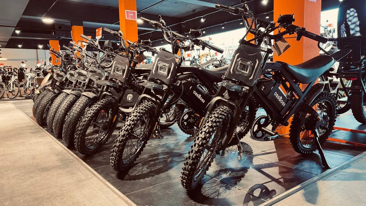 Met een 'slimbike' heeft deze handelaar al een antwoord op het fatbikeverbod