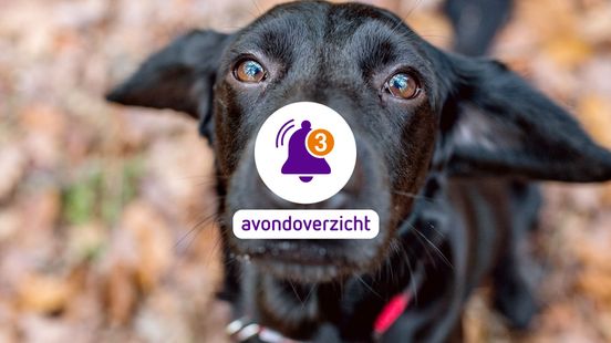 Koning winter vertrekt dus treinen rijden weer en Bello uit de gratie op maandag 12 januari