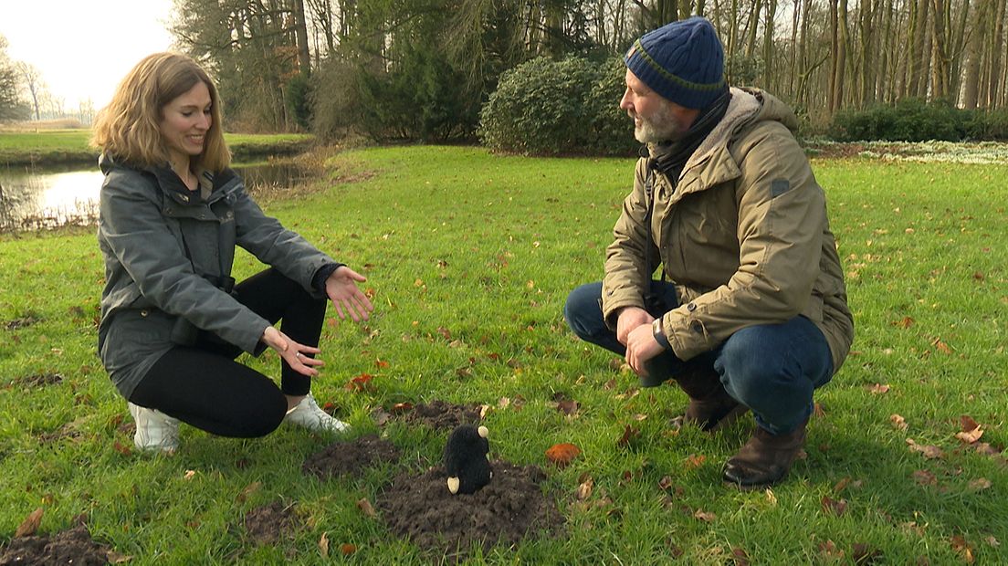 Eddy heeft zijn eigen mol meegebracht.