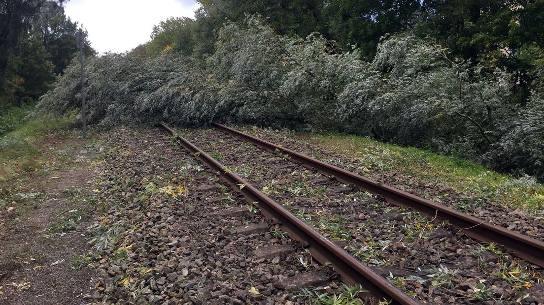 Een boom is over het spoor gevallen bij Station Noord in Groningen