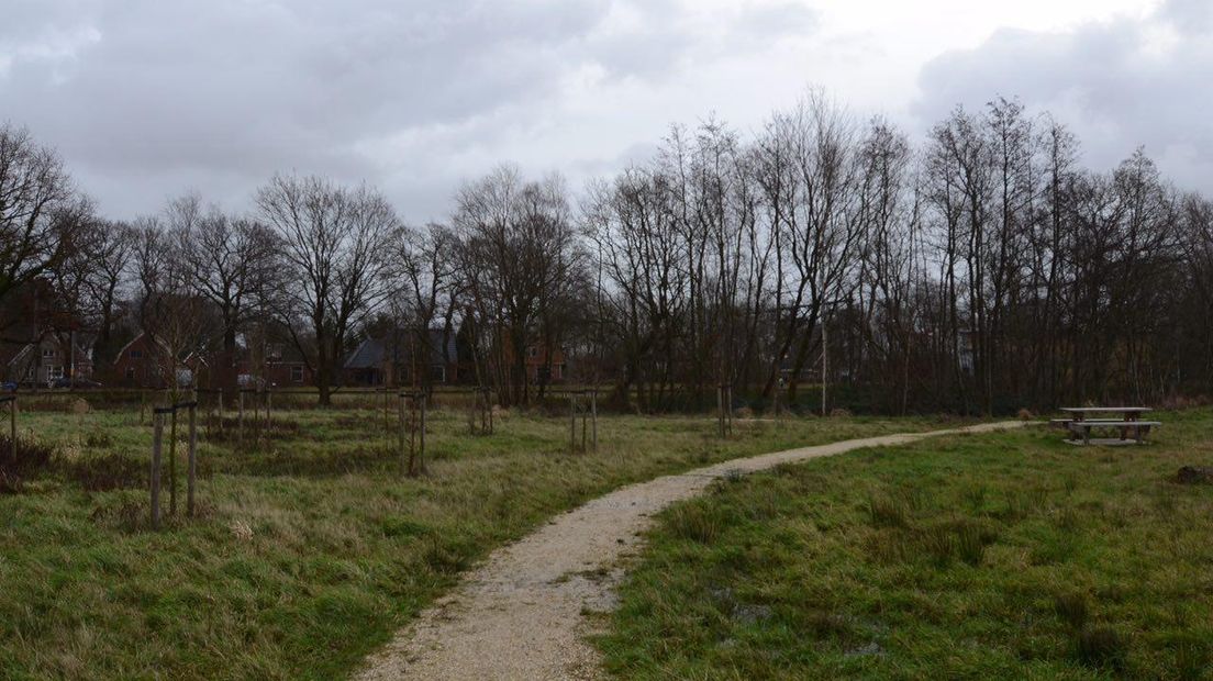 Het park in Tynaarlo biedt een troosteloze aanblik (Rechten: archief RTV Drenthe)