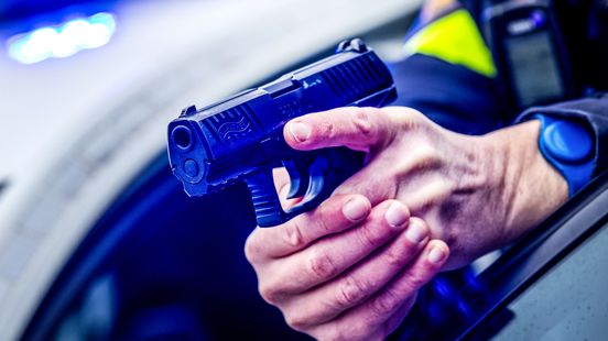 Politie lost waarschuwingsschot bij arrestatie Home