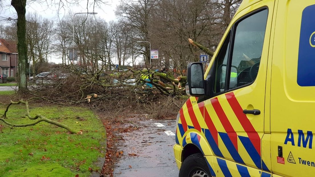 Automobilist overleden door omvallende boom