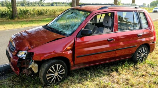 Automobilist rijdt verkeersborden om