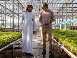 Tomaten kweken in woestijn; Westlandse kassenbouwer gaat het doen