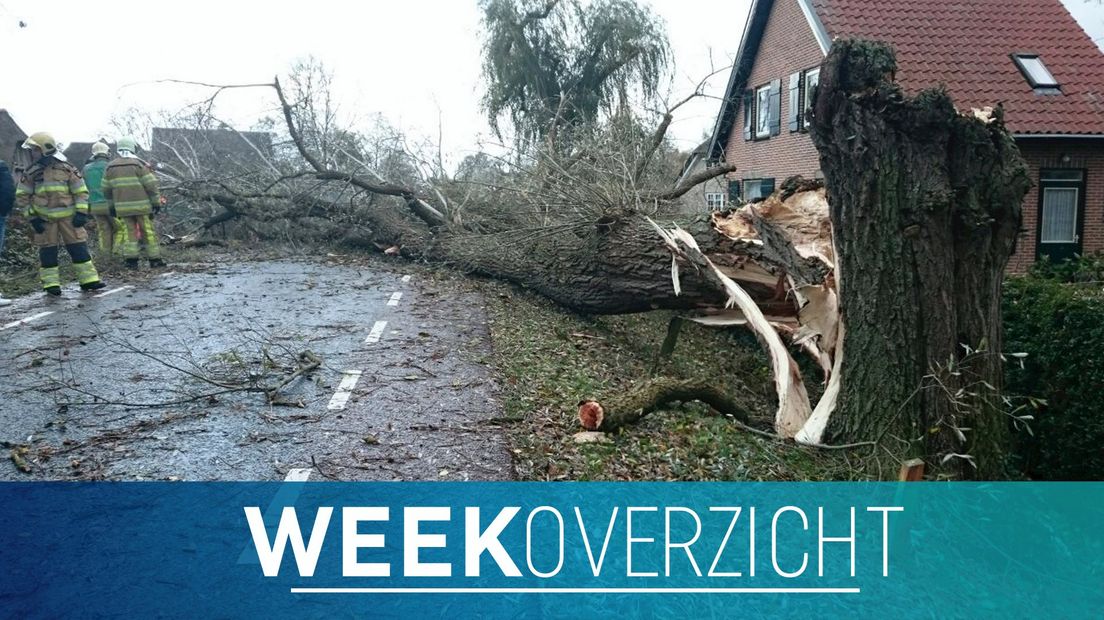 De brandweer had het druk met het omgewaaide bomen