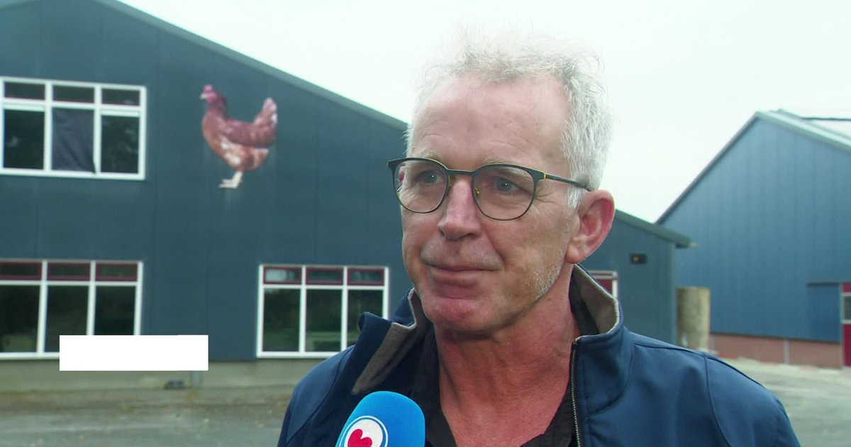 Gefolgen fûgelgryp Lutjegast foar Fryslân