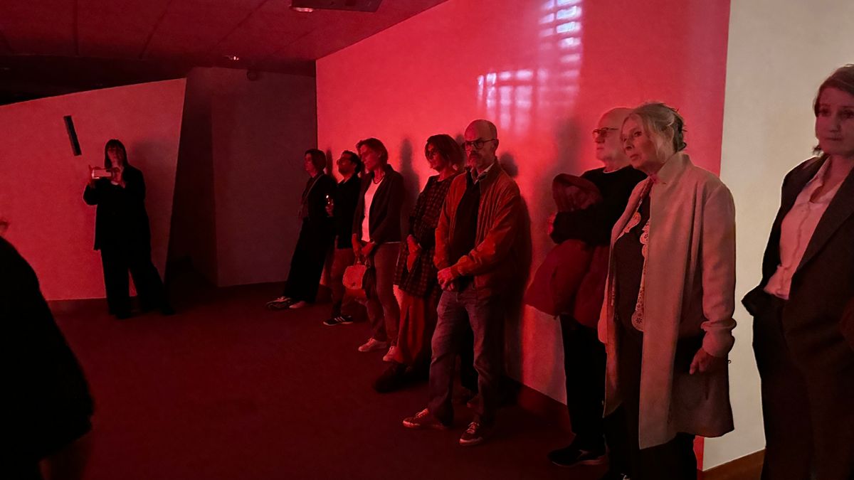 Mini-filmfestival in Terneuzen ter ere van Coming Out-day: 'Met deze thema's heeft iedereen te maken