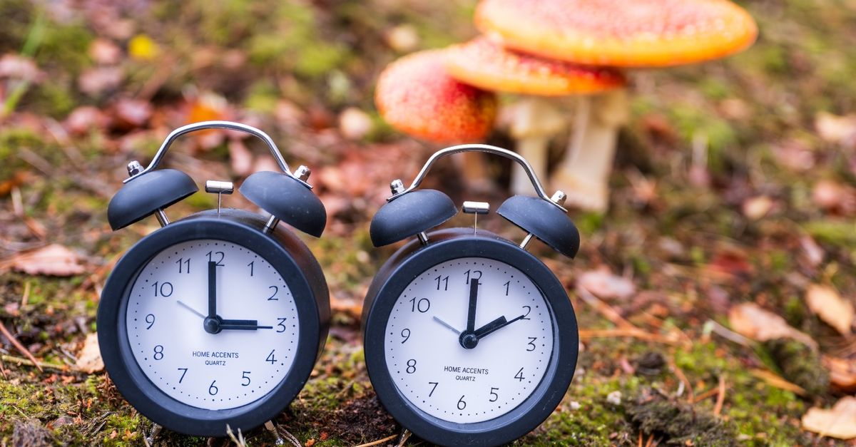 Lopend Vuur: Fijn dat de klok een uur achteruit gaat - RTV Noord