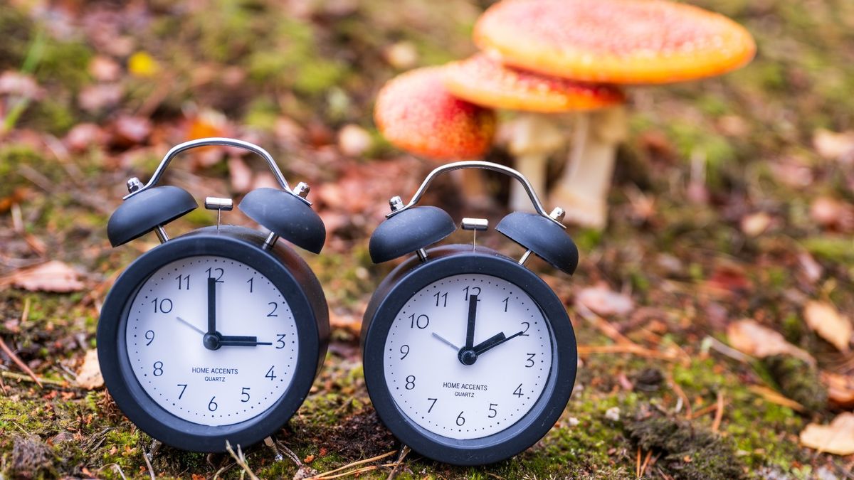 Lopend Vuur: Fijn dat de klok een uur achteruit gaat - RTV Noord