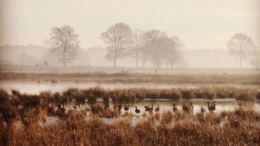 Welke foto vond jij deze week het beste? (Rechten: @hein_fotografie)