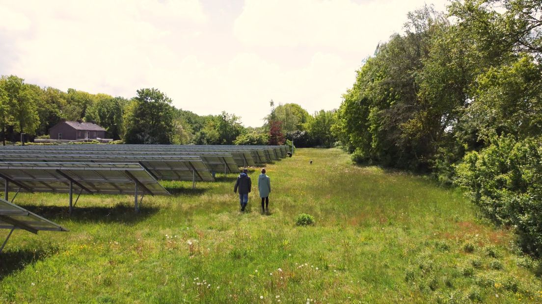 Duizend panelen naast de rioolwaterzuivering in het het zonnepark in De Bilt