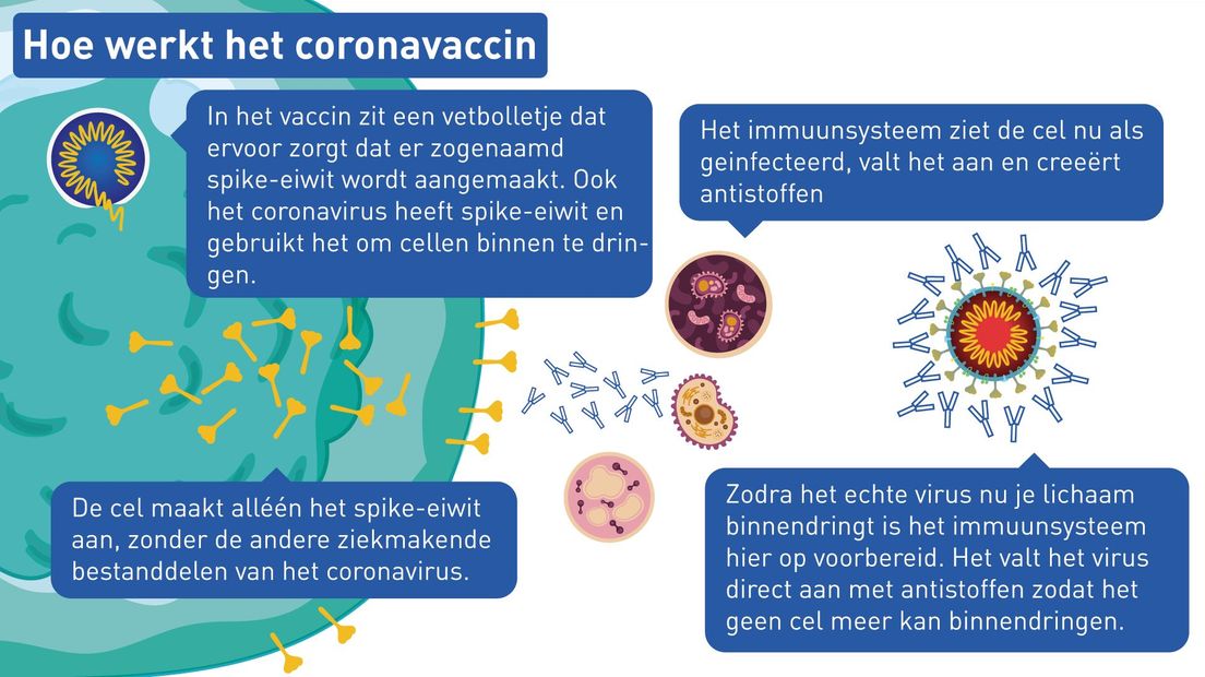 Hoe werkt het coronavaccin?