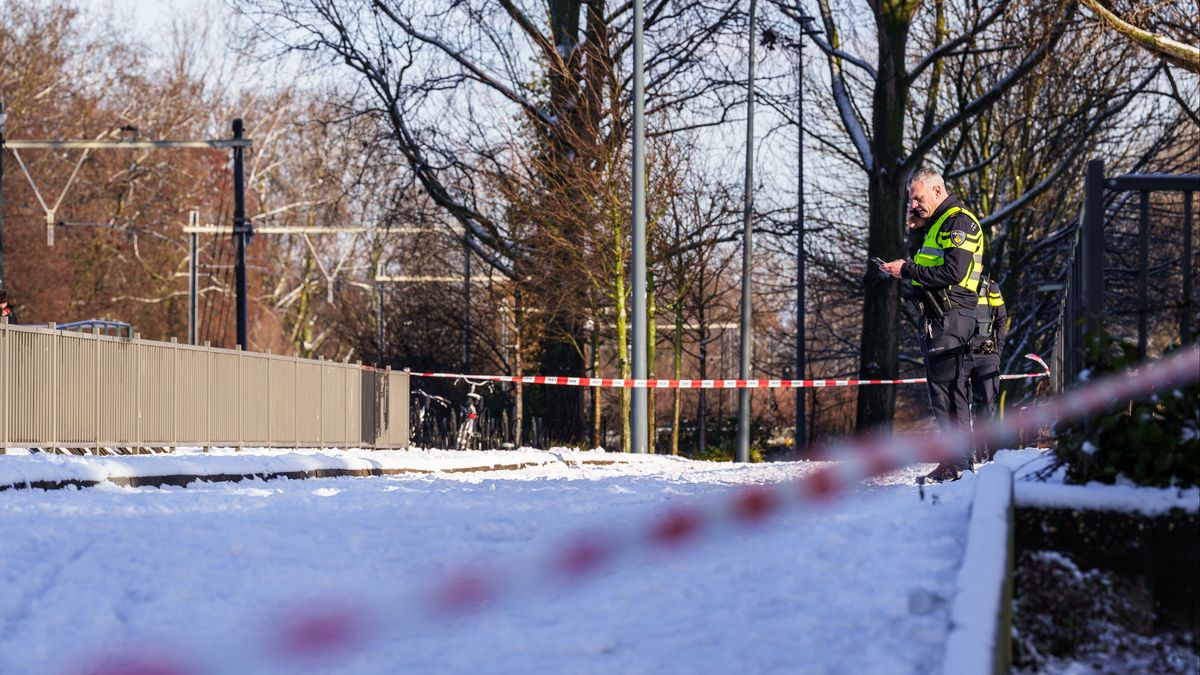 Jongens (16 en 17) aangehouden voor dood man (60) bij station Nieuwland