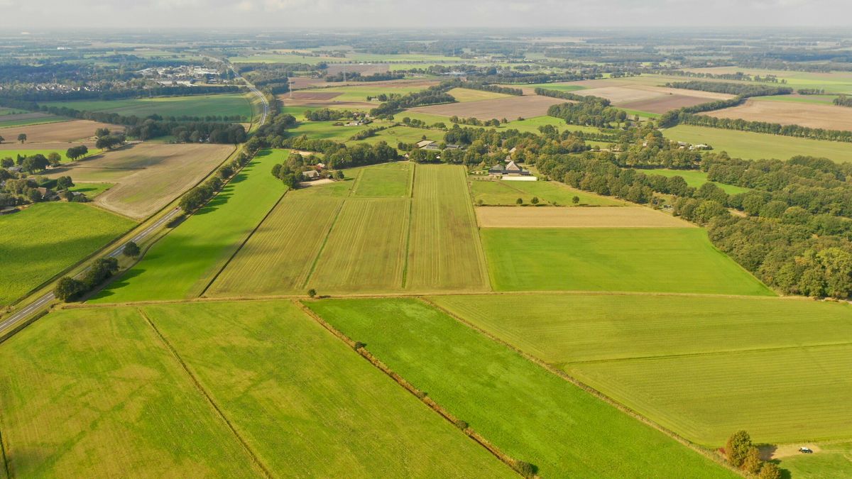 College Midden-Drenthe negeert motie over zonnepark Klatering: ‘Te grote juridische risico’s’