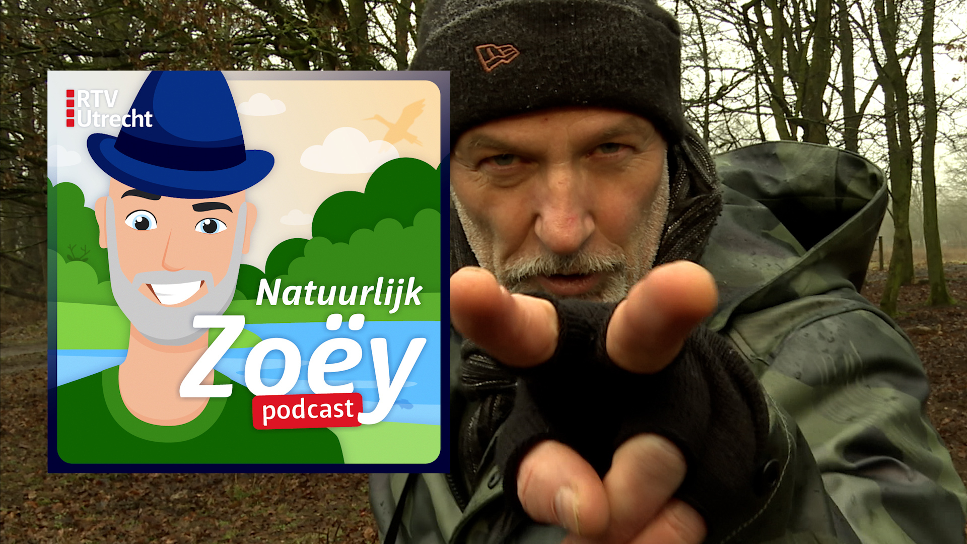 Spierkracht met een doel: hoe grazers de natuur laten floreren