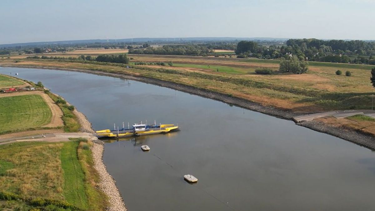Steeds meer veerpontjes uit de vaart vanwege lage waterstanden: 'Eerste keer in de historie'