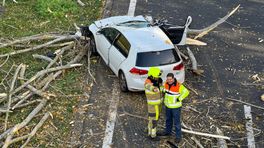 Man zag boom op auto vallen: 'Ze hebben geluk gehad'