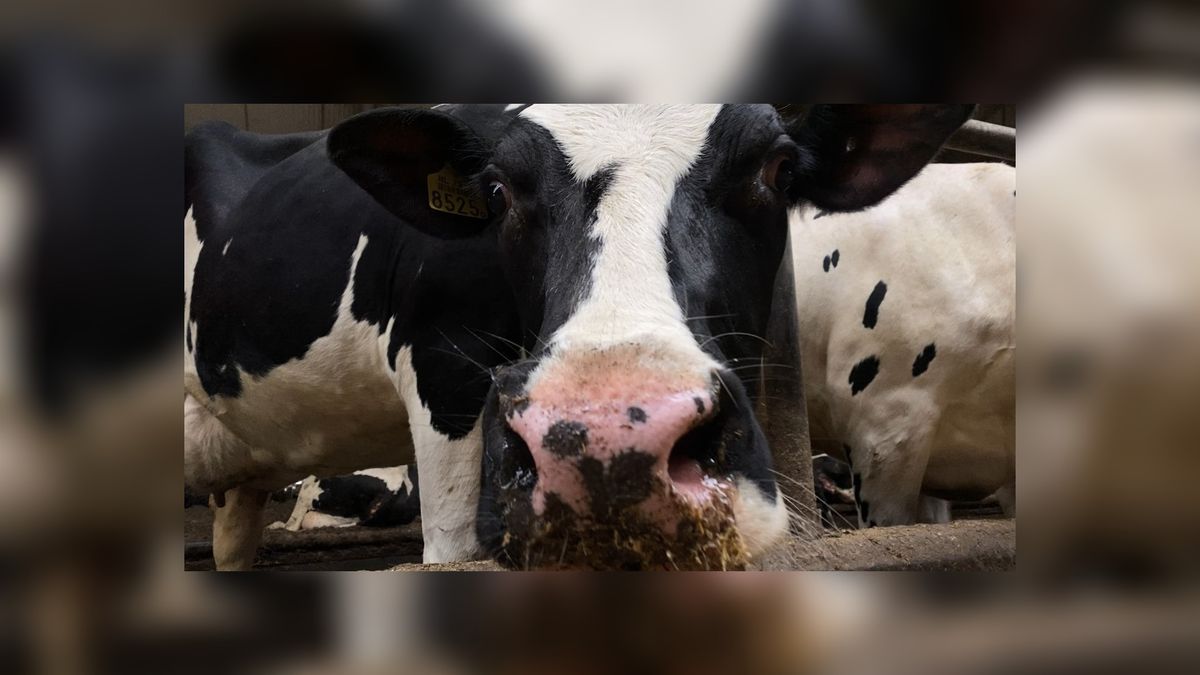 Productie van groen gas is flink toegenomen