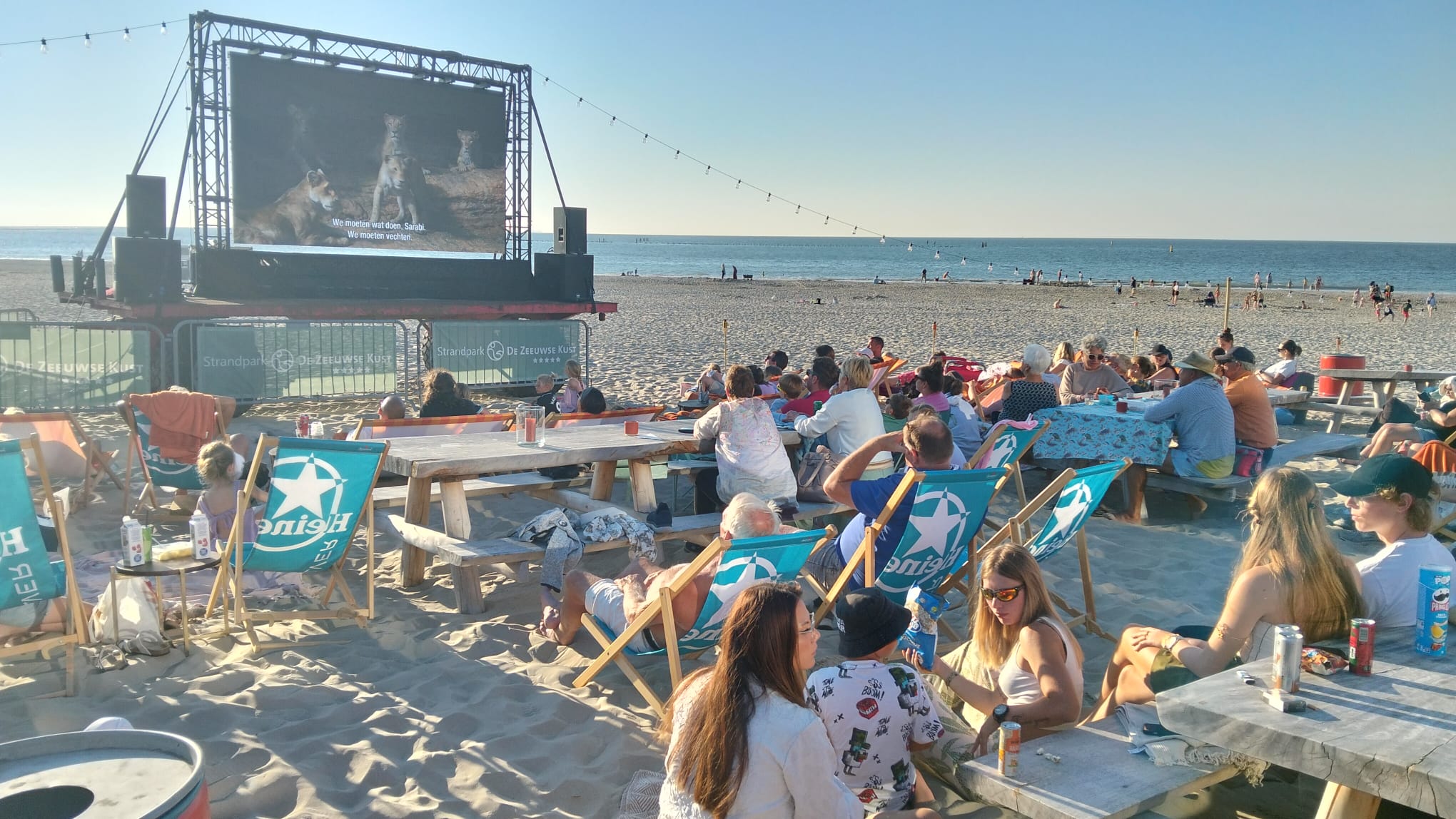 Met een dekentje op het strand naar The Lion King: strandbioscoop in Renesse valt in de smaak