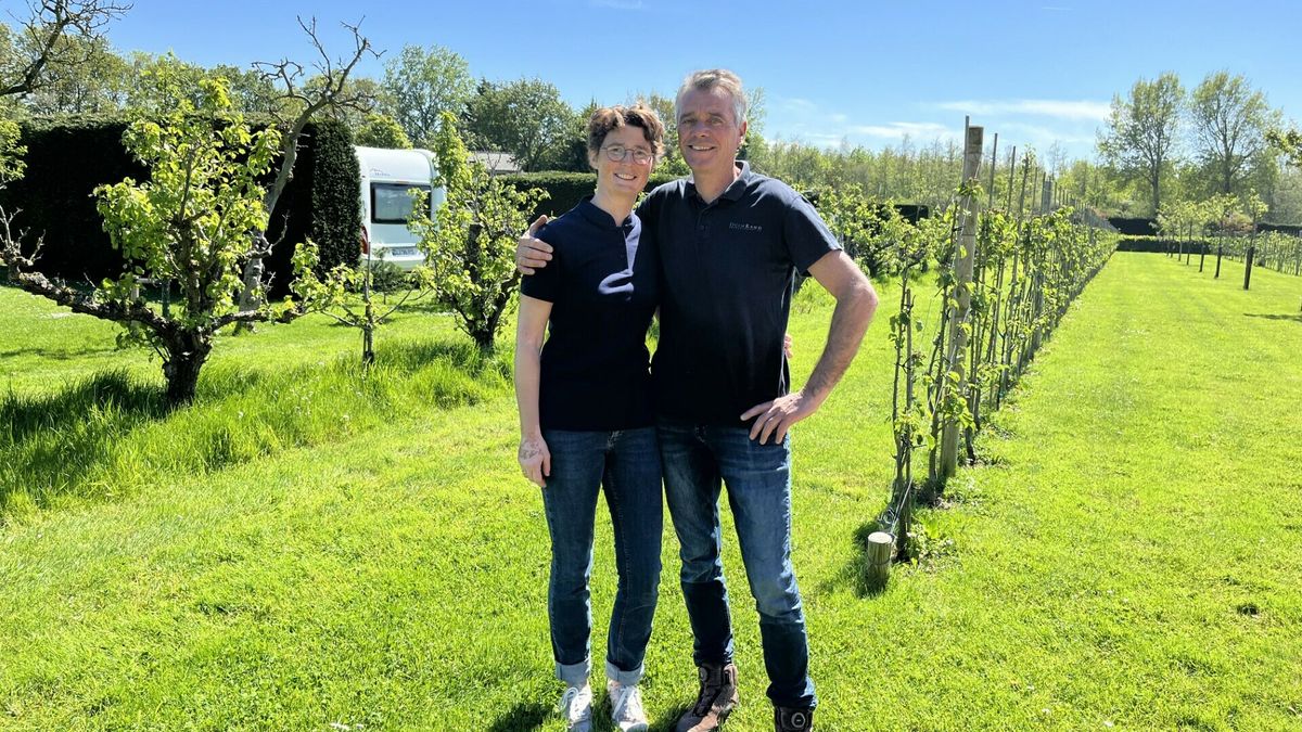 Campinghouders hebben handen vol aan kletsnatte weken: 'Nog nooit zo erg meegemaakt'