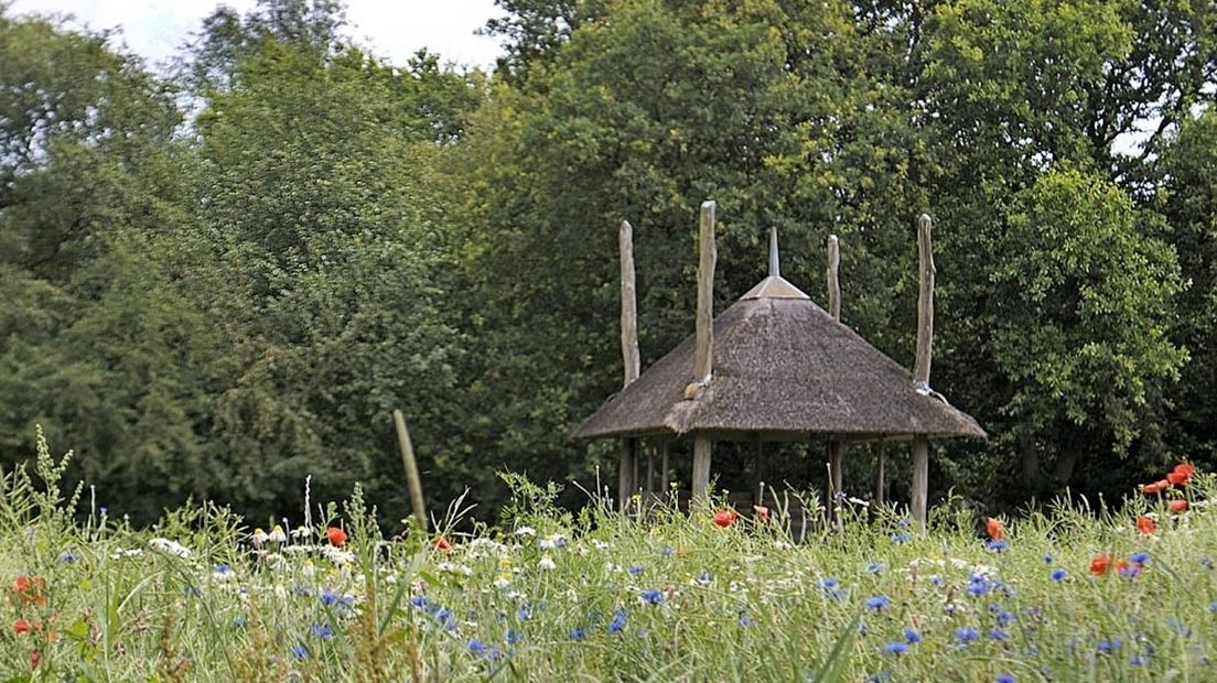 Het Curringherveld