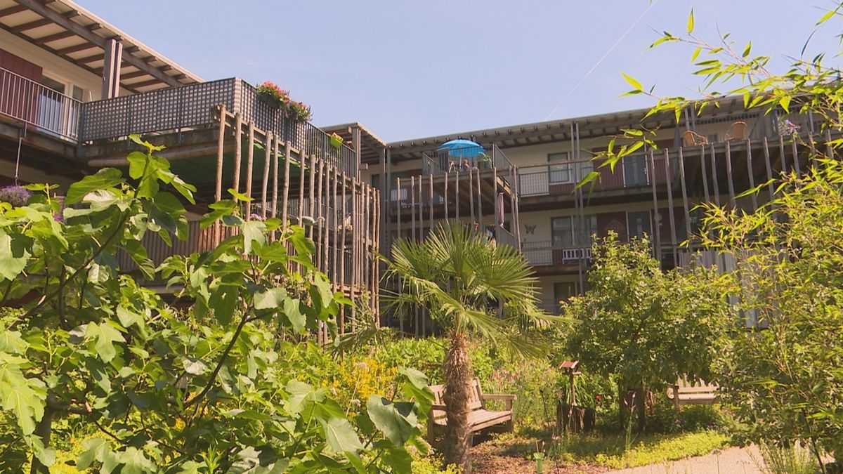 Kembang Baru, een tropisch paradijs midden in de Zwolse wijk Holtenbroek