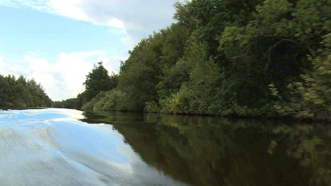 Natuur in Nationaal Park De Weerribben