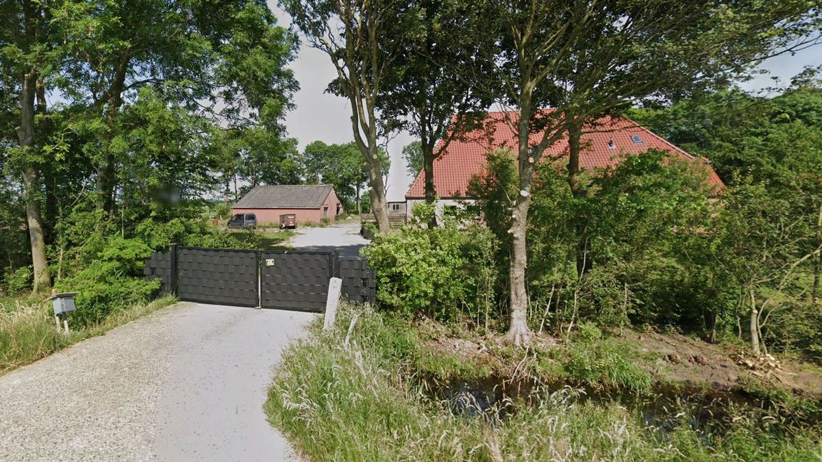 Opvallende ontdekking bij Kuinre: politie vindt actief drugslab en honderden slangen