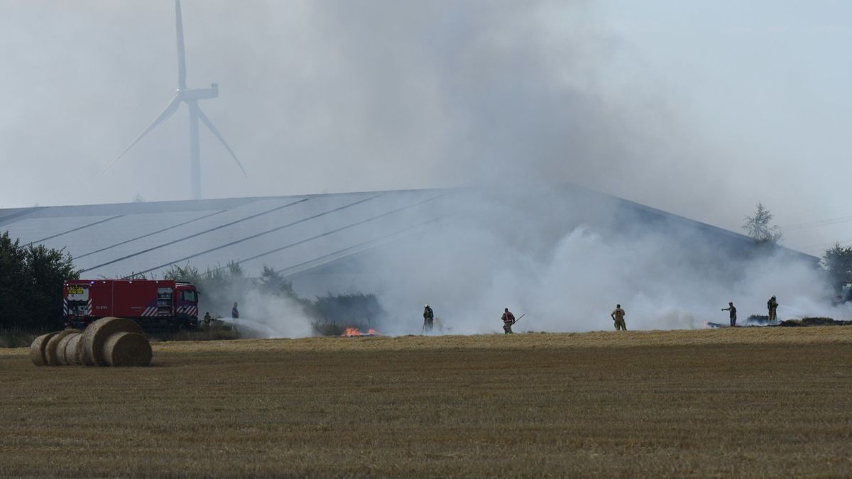 Brand breekt uit in weiland in Roswinkel