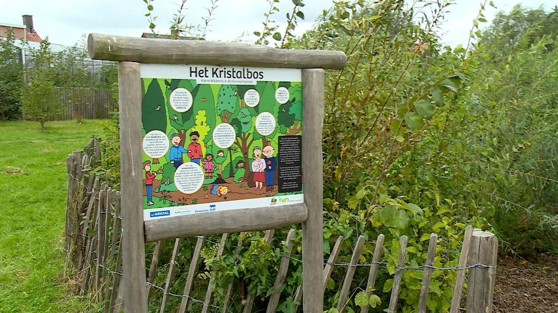 Minibossen worden ook gebruikt voor lessen over de natuur