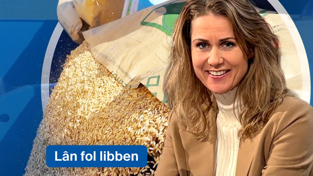 Eten we straks brood van naakte haver uit Holwert? 