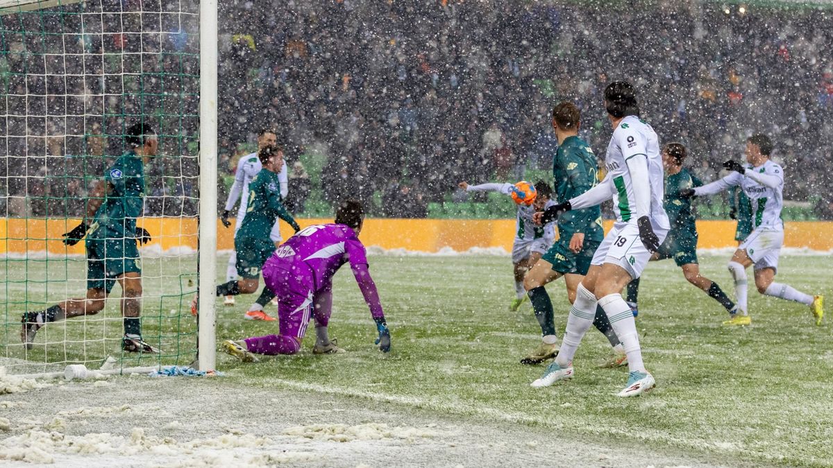 FC Groningen speelt gelijk in winters Euroborg: 'Een beetje glibberen en glijden'