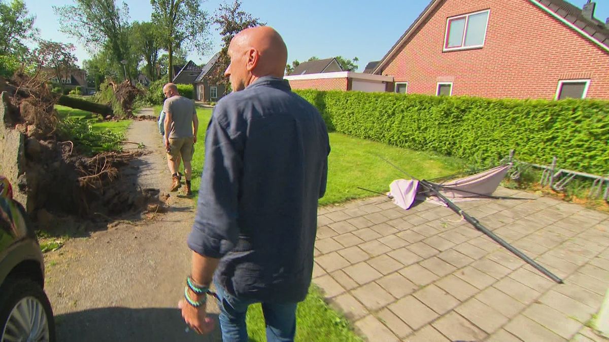 Omgewaaide bomen zorgen voor schade in Zuidbroek