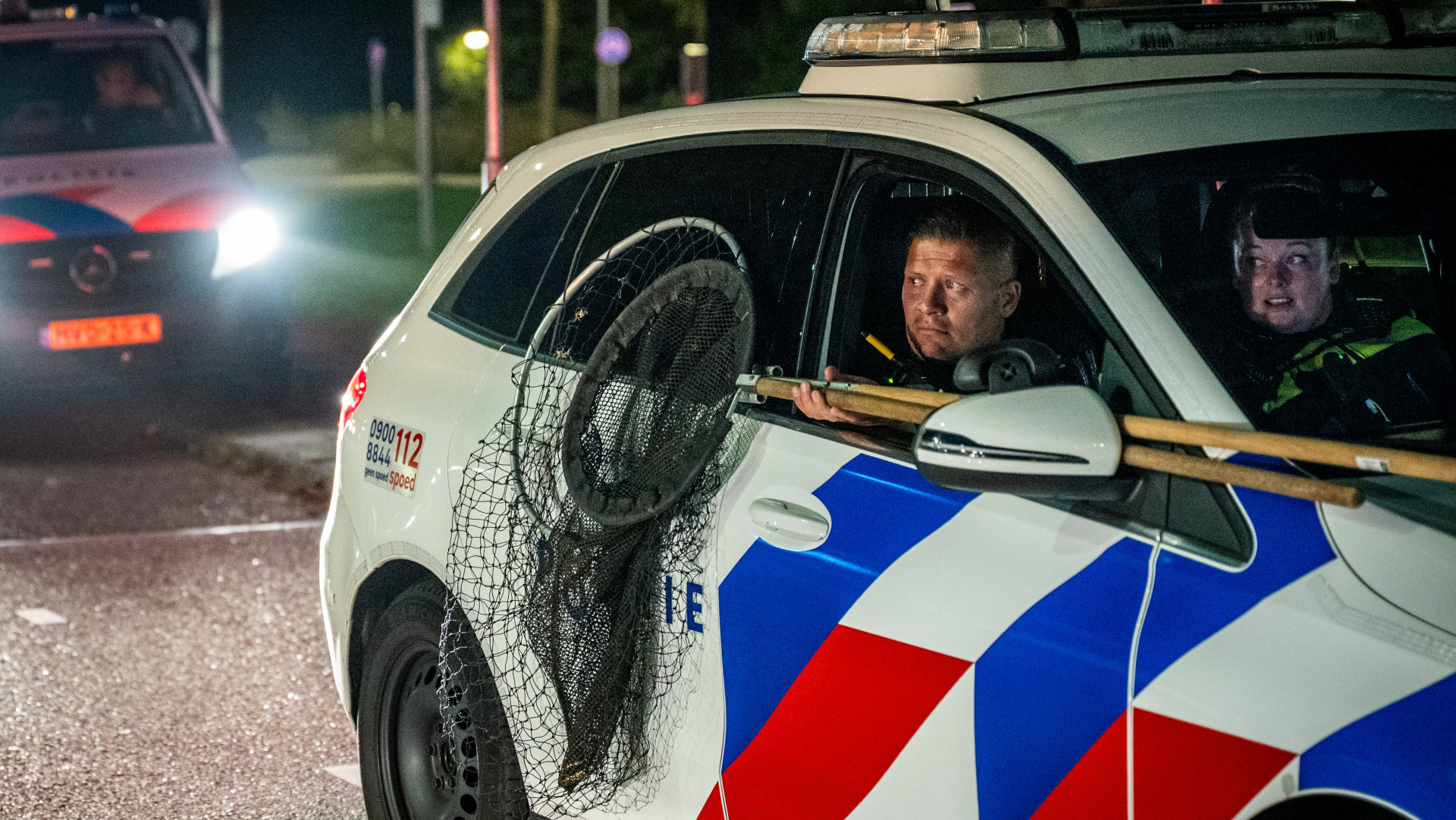 Nieuws