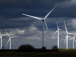 Kritiek op windmolenplannen provincie: "Vermijd gebieden met grote risico's voor natuur"