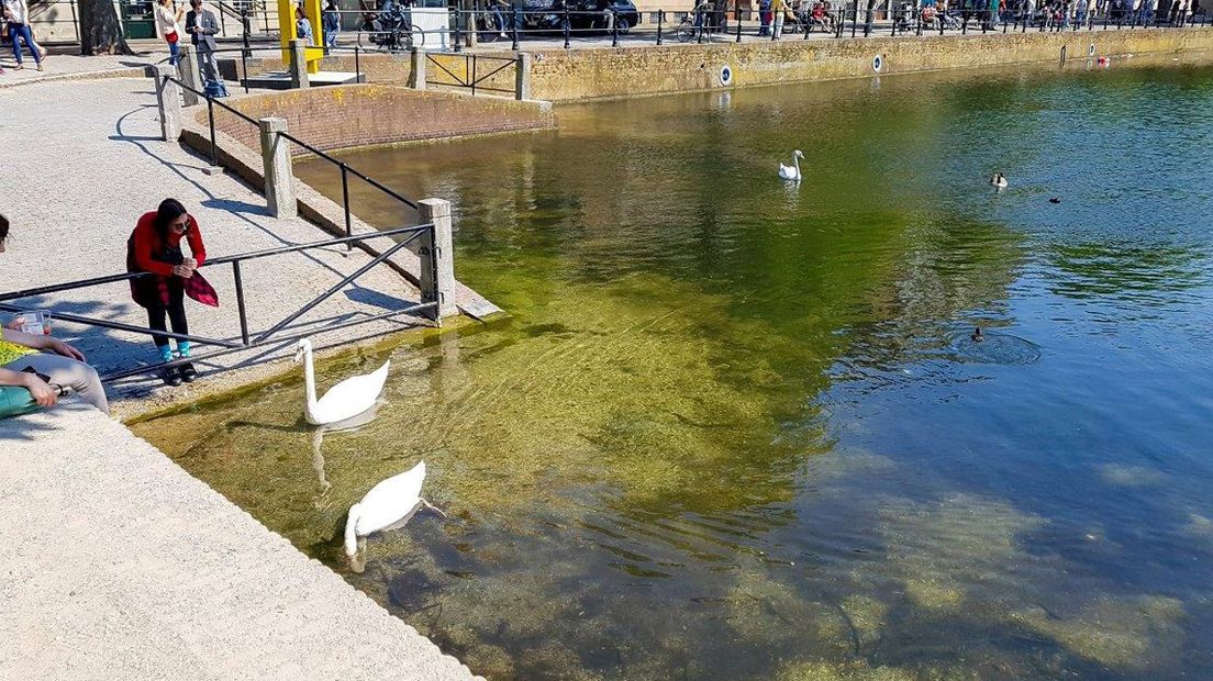 IN BEELD: Prachtige Eerste Paasdag - Omroep West