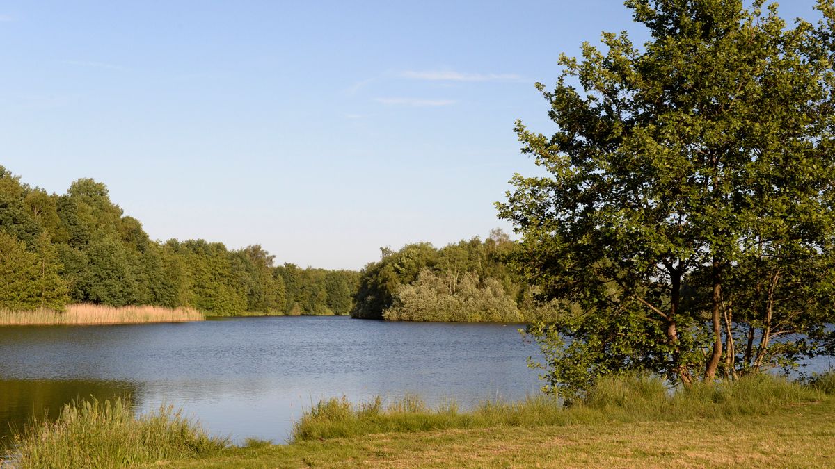 Natuur in de achtertuin: 'Als ik het slootje overspring, ben ik er al'