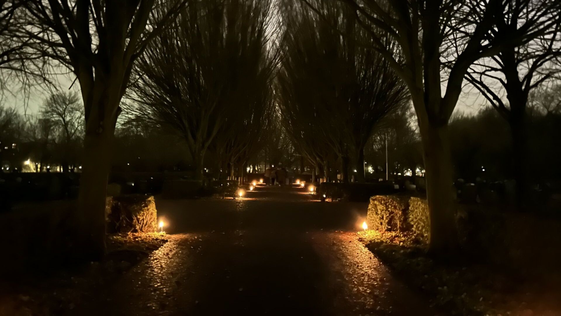 Het pad was prachtig in het licht gezet
