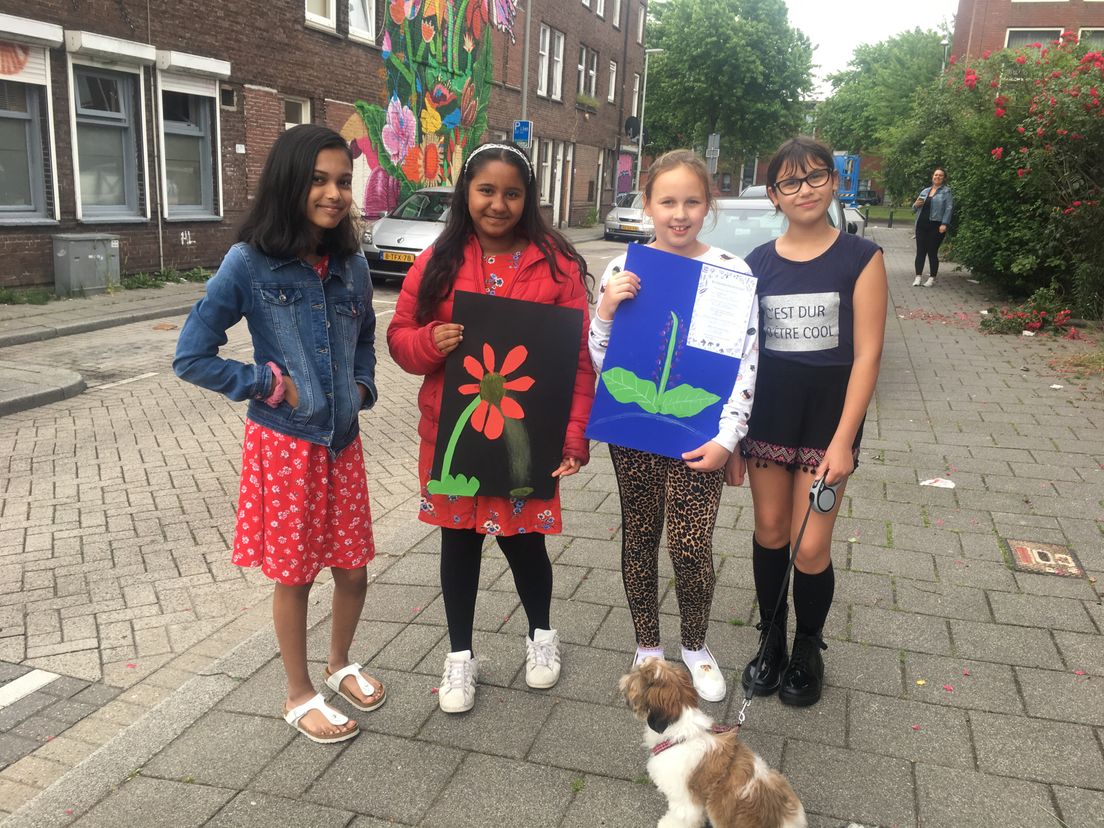 Bloemen van kinderen fleuren Rotterdamse wijk Bloemhof op - Rijnmond
