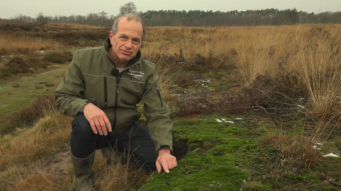 Hans Colpa laat het grijs kronkelsteeltje zien